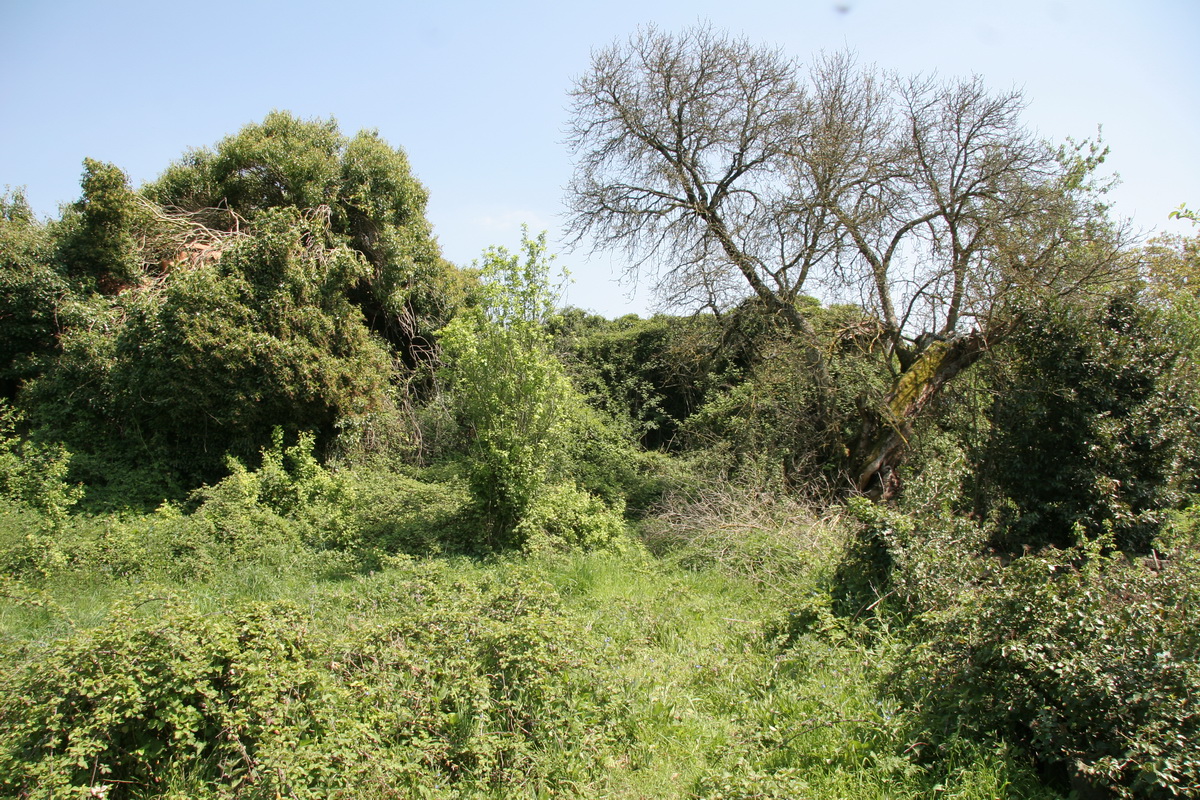 Pazo de Chaioso